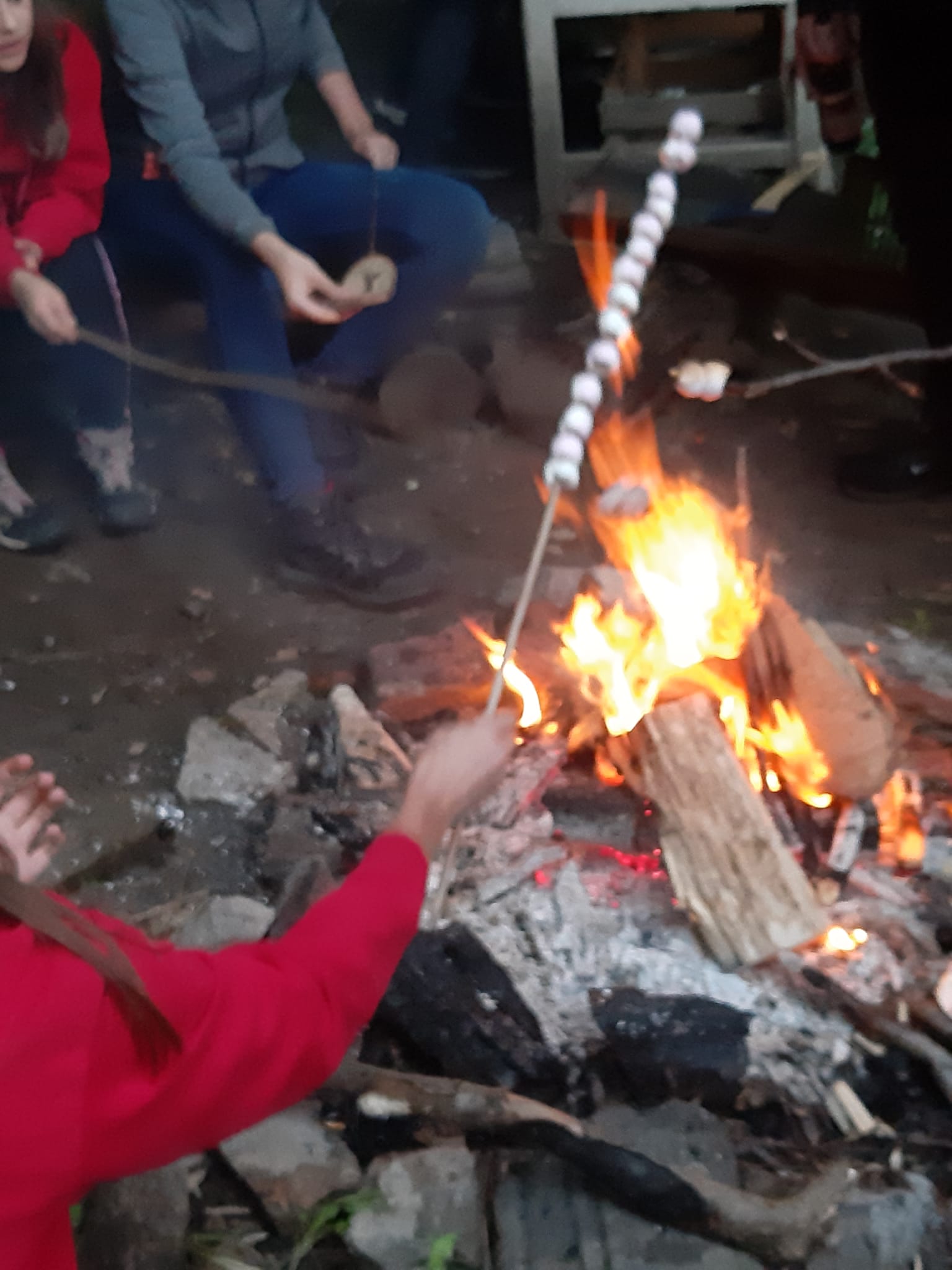 IMG-20210827-WA0004